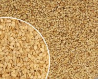 Sésamo bio a granel (250g)