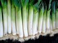 Puerro ecológico (500g)